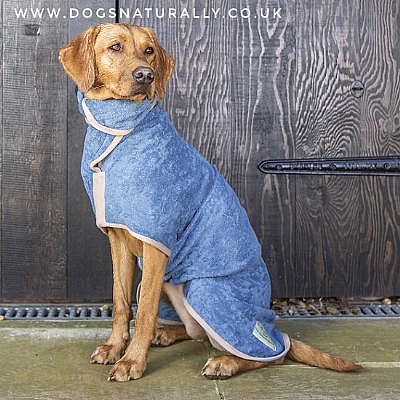 Dog Drying Coat - Blue